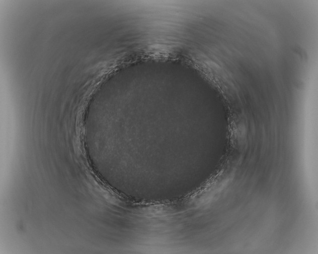 X0000112060769200909011002