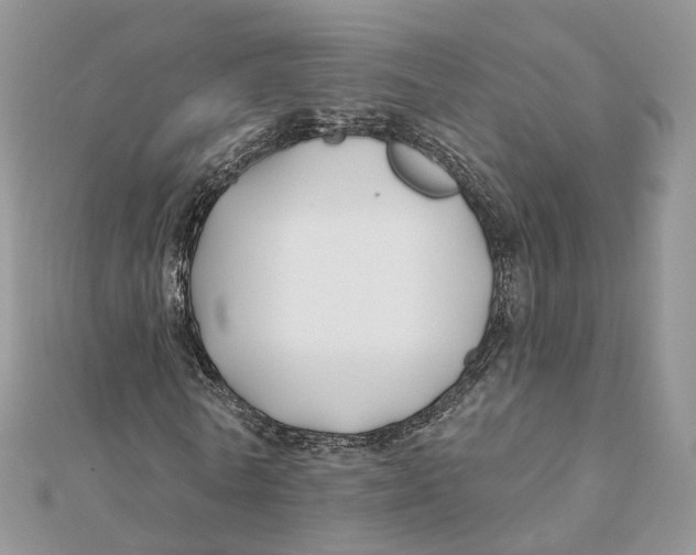 X0000112060770200909011002