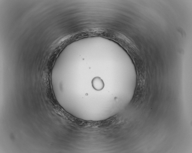 X0000112060773200909011002