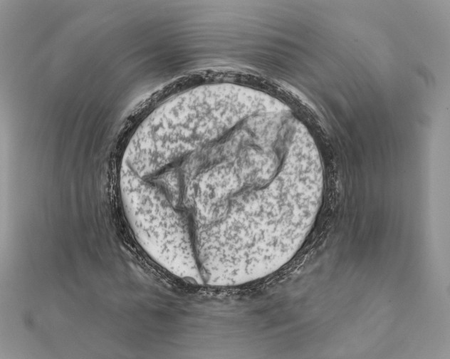 X0000112060775200909011002
