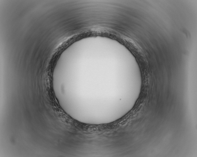 X0000112060776200909011002
