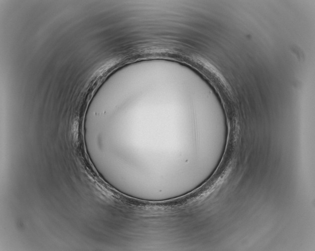 X0000112060777200909011002