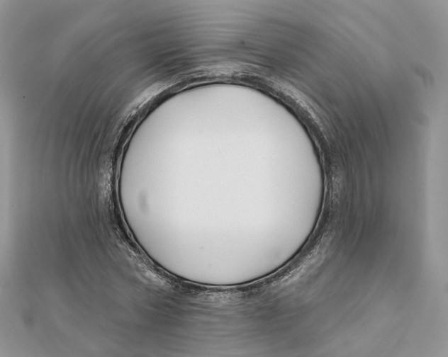 X0000112060778200909011002