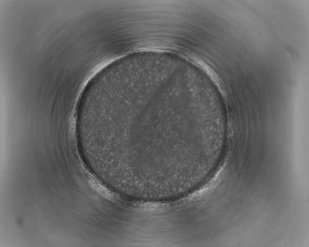 X0000112060779200909011002