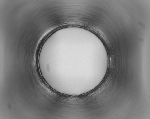 X0000112060780200909011001