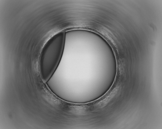 X0000112060781200909011001