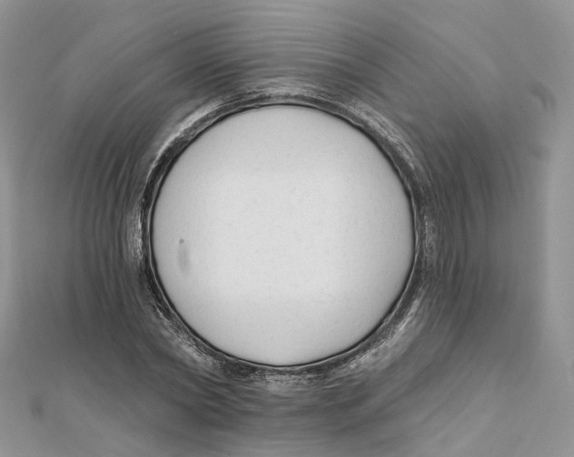 X0000112060782200909011001