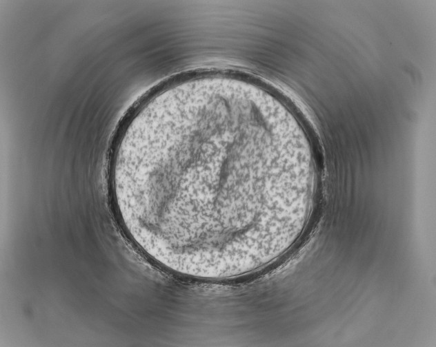 X0000112060783200909011001