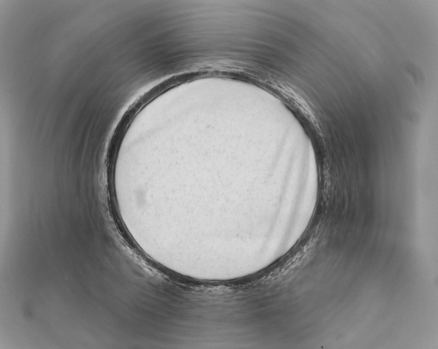 X0000112060784200909011001