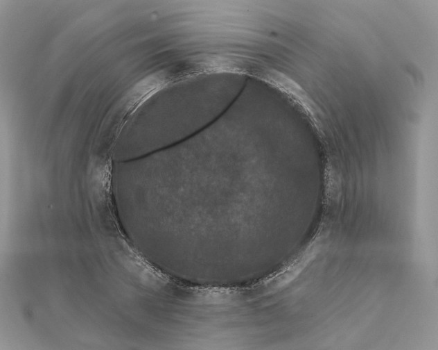 X0000112060785200909011001