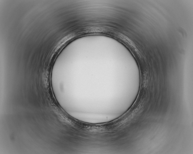 X0000112060786200909011001