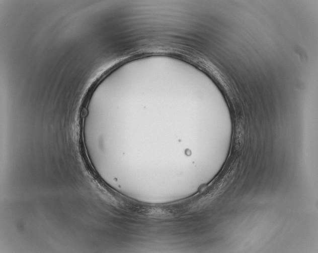 X0000112060787200909011001