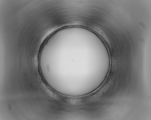 X0000112060789200909011001