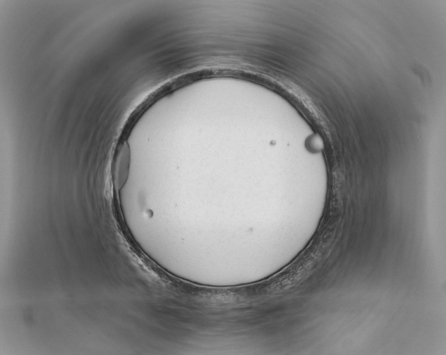 X0000112060791200909011001
