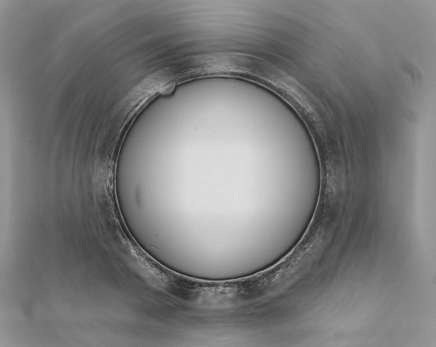 X0000112060793200909011001