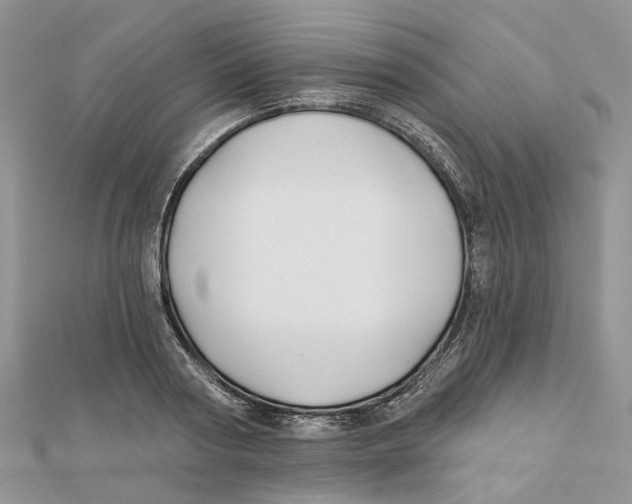 X0000112060794200909011001