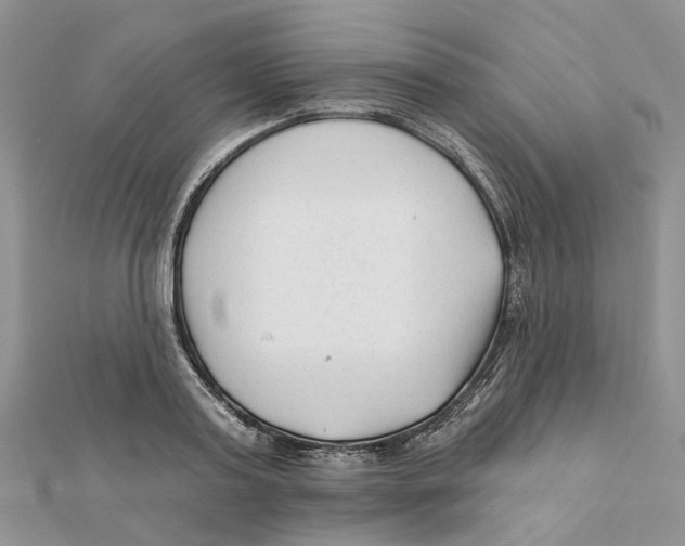 X0000112060795200909011001
