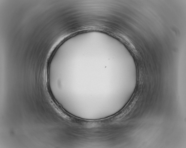 X0000112060796200909011001