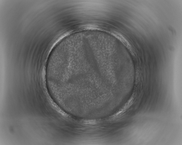 X0000112060798200909011001