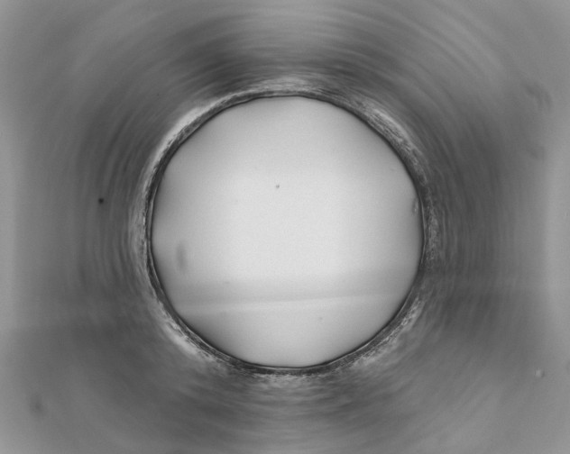 X0000112060800200909011001
