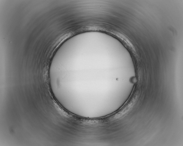 X0000112060801200909011001