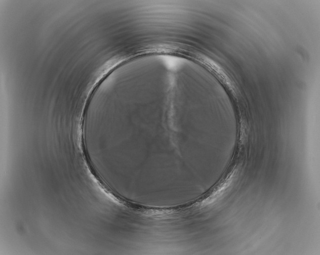 X0000112060802200909011001