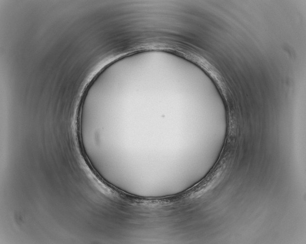 X0000112060803200909011001