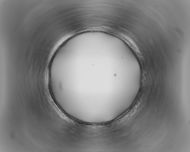 X0000112060804200909011001