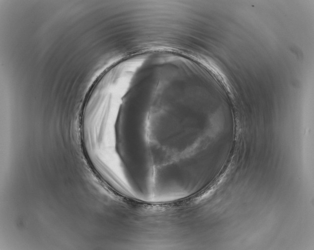 X0000112060806200909011001