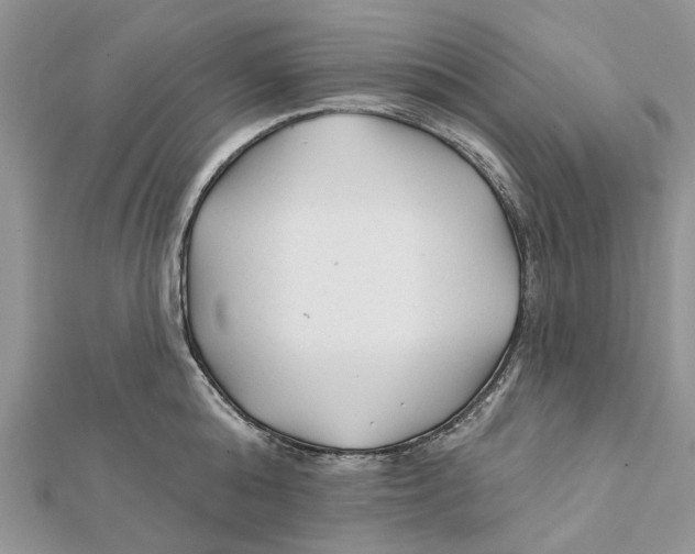 X0000112060808200909011001