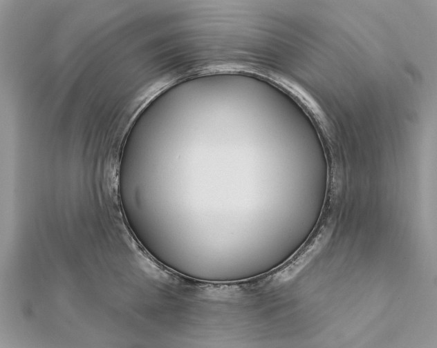 X0000112060809200909011001