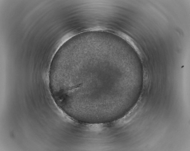 X0000112060810200909011001