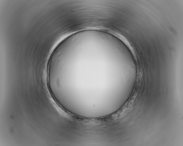 X0000112060811200909011001