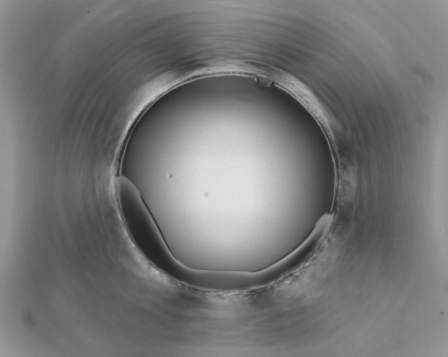 X0000112060813200909011001