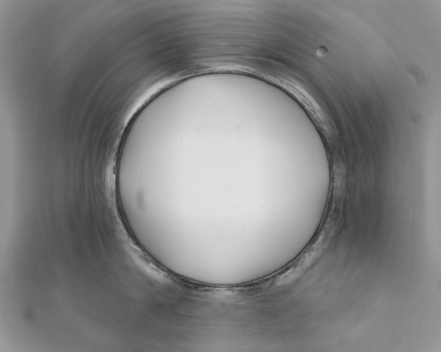 X0000112060814200909011001