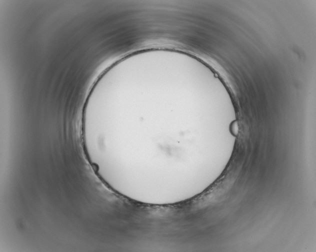 X0000112060815200909011001