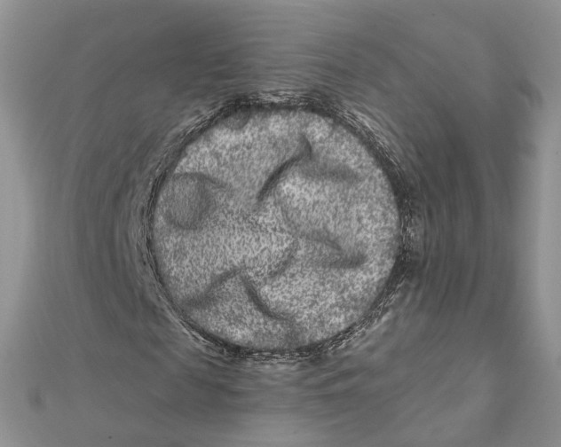 X0000112060817200909011000