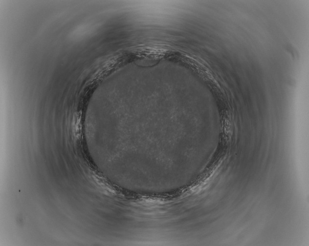 X0000112060818200909011000
