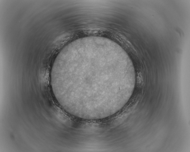 X0000112060820200909011000
