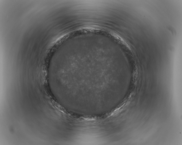 X0000112060822200909011000