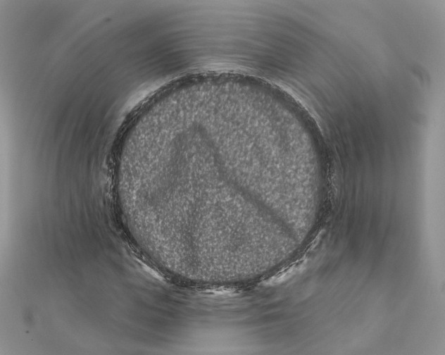X0000112060823200909011000
