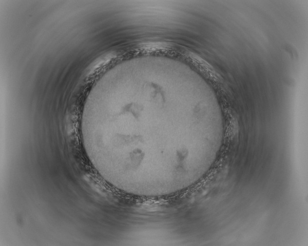 X0000112060824200909011001