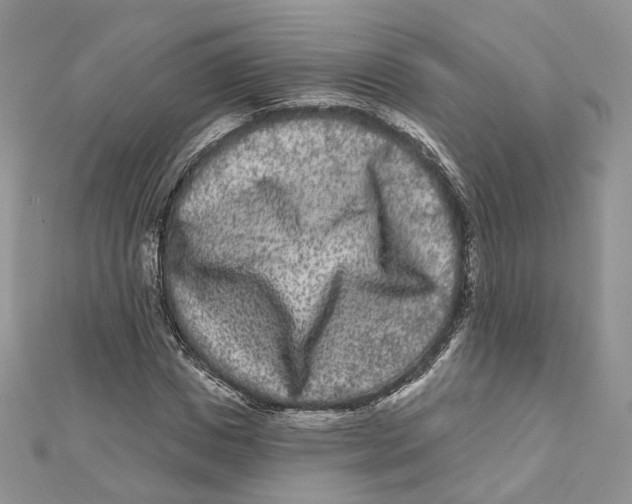 X0000112060825200909011001