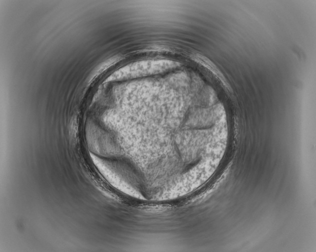 X0000112060826200909011001