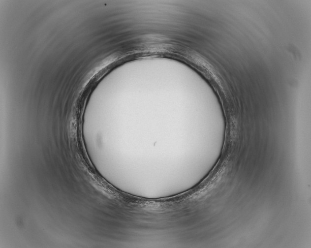 X0000112060827200909011001