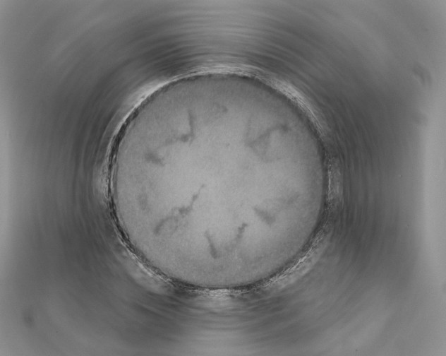 X0000112060828200909011001