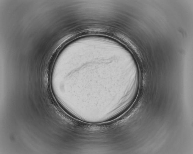 X0000112060829200909011001