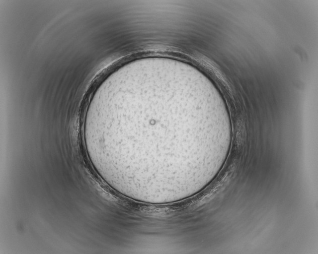 X0000112060831200909011001