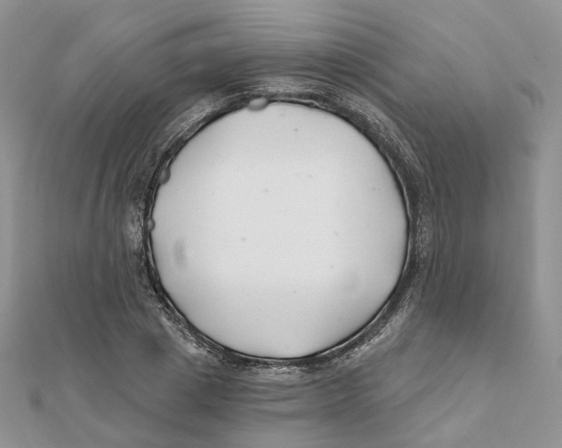 X0000112060833200909011001