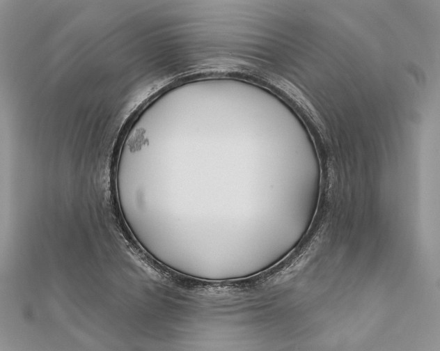 X0000112060834200909011001